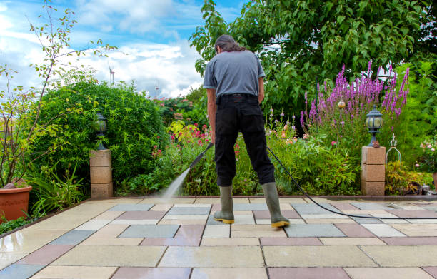 Best Roof Cleaning and Mildew Removal in Lenwood, CA